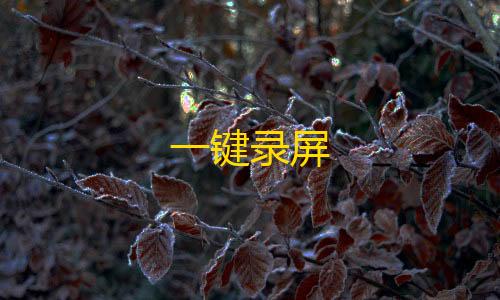 微商软件自动发货商城一键录屏