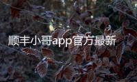 顺丰小哥app官方最新版本v3.5.0 人气热度：19℃
